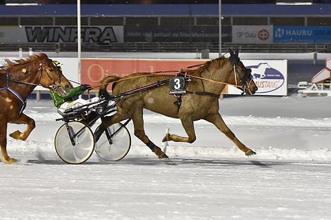 Mette-Marit jyräsi Toto75-sankariksi.