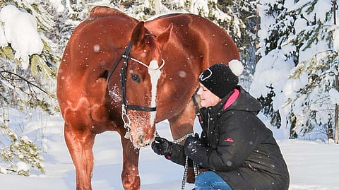 Kolumni: "Lumella makasi kevään astutussuunnitelmat, arjen voimavara ja ennen kaikkea rakas perheenjäseneni"