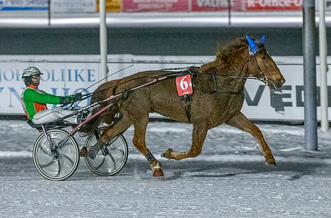 Lystilän Lento kuittasi uransa toistaiseksi arvokkaimmasta voitosta 8 000 euron ensipalkinnon.