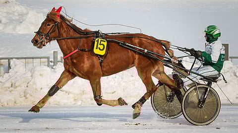 Ideavarma Lulun Taika ja Janne Räisänen hakevat kolmatta voittoa putkeen.