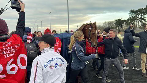 Hooker Berry voitti Prix d'Amériquen viime vuonna.