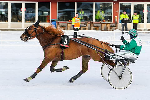 Eeti voitti uransa aikana 21 lähtöä. Muita totosijoja kertyi 24 kappaletta, ja voittosummaksi jäi 70 515 euroa.
