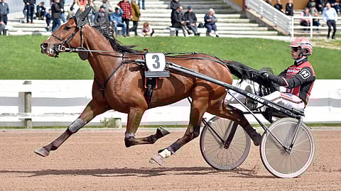 Teuvo Nikulainen kertoo, etteivät jenkkikärryt viime startissa sopineet Smokin Ridelle.