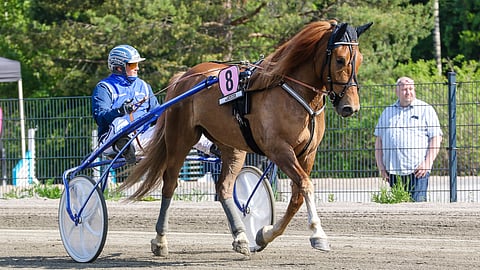 Huisi Hippu ja luottokuski Kim Åkerlund.