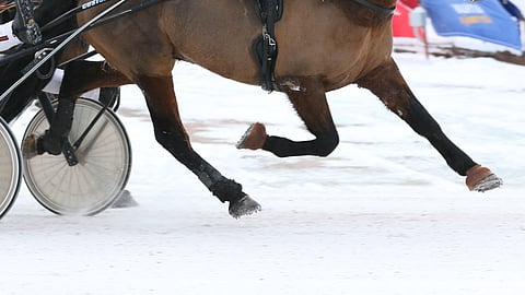 Porin rata puhutti 7.1. Kavioliiga-raveissa ja niiden jälkeen.