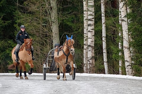 Salpaus kouluttaa hevosalan ammattilaisia. Kuvassa Milla Salo Tuli Nopsan selässä, edellä Henna Euksela ja Lumilinko.