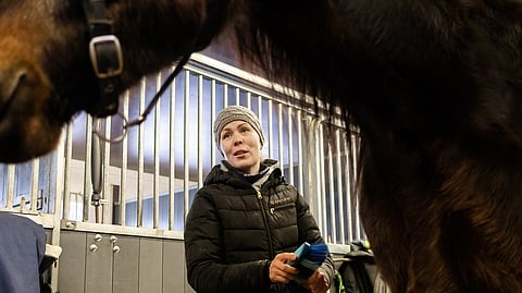 Opinnäytetyötä tehdessään Tia Malinen yllättyi siitä, kuinka huonosti valmentajat tuntevat asiakkaansa. ”Mikään ei estä valmentajaa tekemästä vaikka vuosittain asiakastutkimusta, jossa kysyttäisiin, mihin omistajat ovat tyytyväisiä ja mitä he toivovat.”