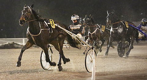 She's A Jedi jätti muut kirivaiheessa selvästi taakseen.