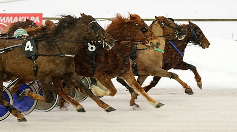 M.A. Piste (8) kurotti todella tasaisesta rintamasta lopulta parhaiten.
