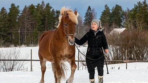 Costello on edelleen virkeä ja näyttävä ilmestys. ”Edelleen odotan sitä päivää, kun ikä toisi siihen vähän tasaisuutta. Se ei ole pappaantunut missään vaiheessa”, Tia Malinen kertoo.