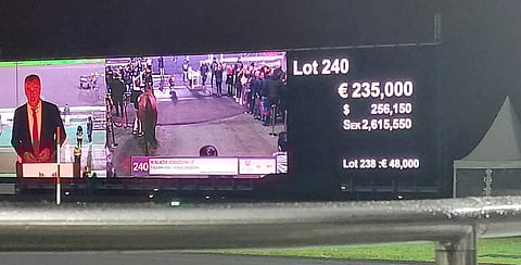 Kalicia Josselynin hinta nousi 235 000 euroon.