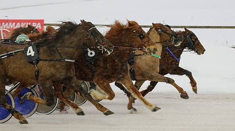Numerolla kahdeksan startannut M.A. Piste kurkotti tasaisesti voiittokamppailusta ykköseksi.