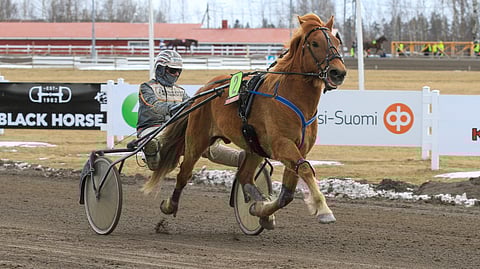 Seppo Markkula palaa Vermossa Karlon rattaille.