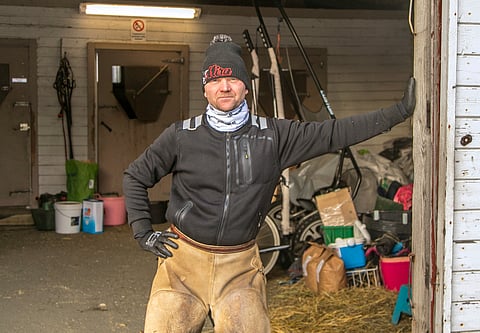 Kari Alapekkala pitää valmennustallia Tornion Laivaniemessä. Valmennettavien joukossa on yksi kolmevuotias, Backwood Fiona.