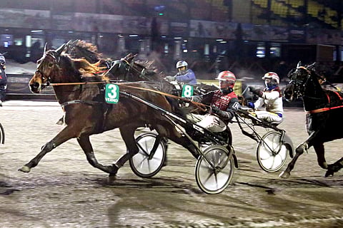 Callela Ladybird vastaili varmaan voittoon. Täysosuma oli 4-vuotiaalle tammalle uran viides.