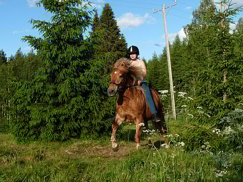 Taru Niittynen ja nuoruuden ratsu Lilie.