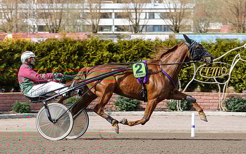 Mr Deauville on torstain ideavihjeen yksinäinen merkki. Kimmo Taipaleen valmennuksesta neljännen kerran kilpaileva ruuna saa taakseen Ari Moilasen. Arkistokuvassa ohjissa Veli-Pekka Toivanen.