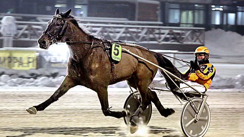 No Limit Royalty voitti kuukausi sitten T65-lähdön Vermossa.