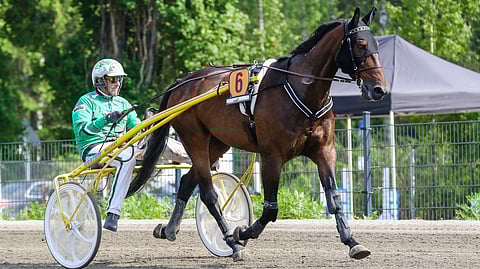 GlobalSatisfaction 10,4 voitti 60 startistaan 13 ja tienasi 208 456 euroa.