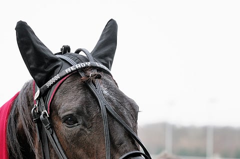 Kilpailupää isolla K:lla. Ready Cash.