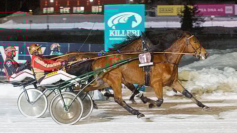 Fellaini Zet eteni Tuomas Pakkasen ajamana voittoon. Interlude Ferm ja Will Daisy Beat sijoittuivat seuraaviksi.