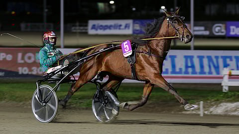 Nemea Kato on toinen ideavihjeen varmoista.