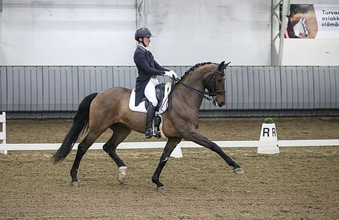 "Hevonen on hieno", itsekriittinen Ville Vaurio muistaa muistuttaa.