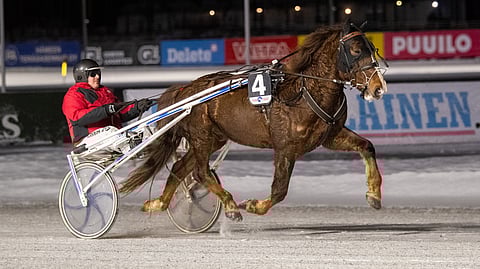 Varma-Konsti ja Pasi Peltonen voittivat Teivossa.