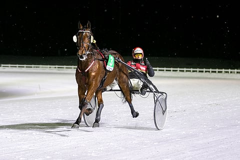 Kyvykäs ja kovasukuinen Global Beware tähyää hopeadivarista kohti kultadivisioonaa.