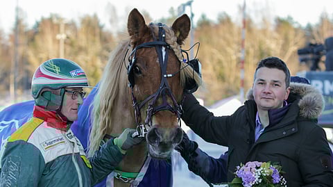 Porttikallion Ässä valmentajansa Timo Tuomisen ja omistajansa Lauri Saarisen kanssa.