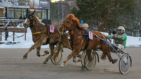 Korven Liideri (1) katkaisi viime startissaan Elanin 8 voiton putken.