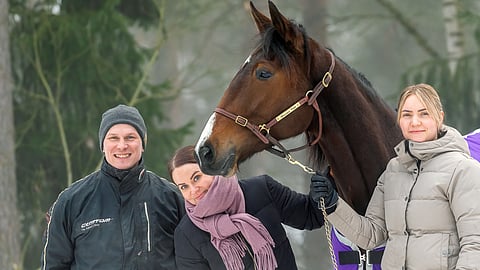 Kotiradan divisioonafinaaleissa Stonecapes Violetin puolesta jännittää valmentaja Antti Veteläisen, kimpanvetäjä Viena Kaupin ja hoitaja Kaisa Mikkolan lisäksi 800 omistajaa.