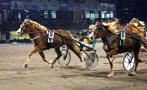 Teemu Okkolinen ohjastama Hovilan Hertta väänsi parhaaksi toiselta ilman selkää.