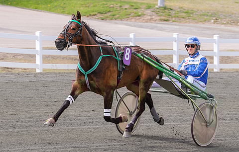 Esa Holopaisen ohjastama New Grove Waylon on ideavihjeen tukipilari. Valjakko lähtee päätöskohteessa sisimpää takarivistä.