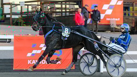 Sahara Playhardin voitto järkytti Toto5-pelaajia torstaina.