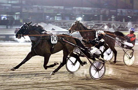 Rocky Cobbler ja Tuukka Varis