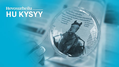 HU kysyy: Miksi Teivon Kohti Kuninkuusraveja -tammalähtöä ei jaettu?