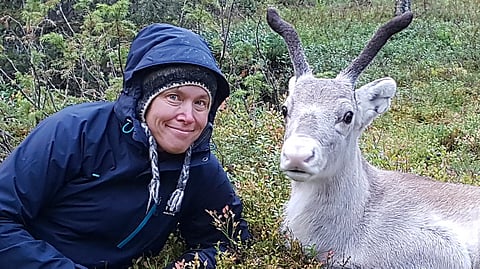 Koulutussuunnitelma auttaa.