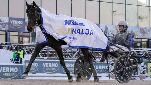 Hierro Boko ohjastajansa Jarmo Saarelan kanssa.