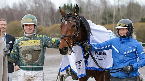 EL Indeed toi Hannu Torviselle illan neljännen voiton ja sekös miestä hymyilytti. Henna Lehtomäki (kuvassa) vastaa Elina Laakkosen omistaman ja valmentaman tamman hoidosta.