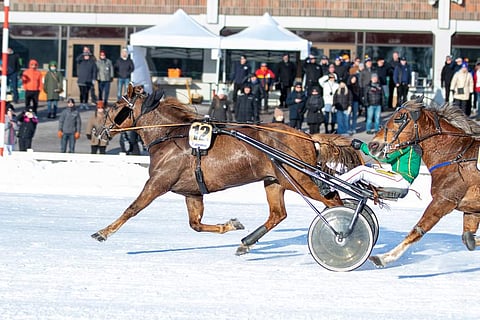 Tuuskanen (12) ja Tähtisekki kirivät Suomen Cupin finaaliin.