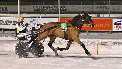 Quick Vald oli yksi
Jukka-Pekka Kauhanen kolmesta voittaneesta ajettavasta.