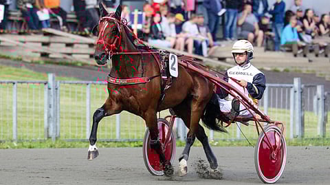 Reippaasti avaava Tima's Miracle on ideavihjeen varma.