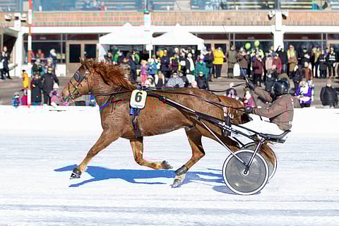 Riksun Urho/Ari Kotikulma voitti kertoimella 5,99.