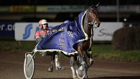 Jolly Roy voitti vuoden 2018 Kymenlaakso-ajon Timo Korvenheimon valmennuksessa ja Tapio Perttusen (kuvassa rattailla) ohjastamana.
