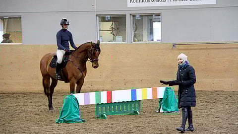 Sanna-Kaisa Mikkolan Cappucino Friend kävi katsomassa pelottavaa estettä. Käyntiin ei siirrytä lähellä estettä, vaan ajoissa ennen kuin hevonen kohdistuu siihen.