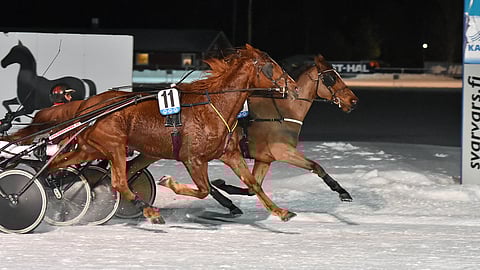 Zolaquer ja Sari Vesala pitivät ykköseksi sisäradalta ennen suosikka Callecustaata ja Santtu Raitalaa.