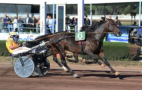Bengurion Jet ja Alessandro Gocciadoro.