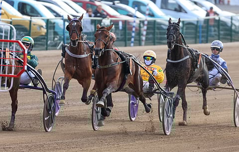 Alessandro Gocciadoro toivoo Bengurion Jetille paikkaa Finlandia-ajossa.