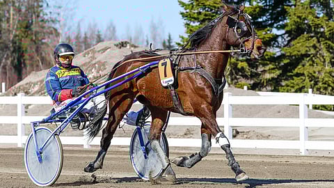 Tuleva kilpailu on Jorma Tiilikaiselle 40. kilpailu Downshifterin kärryillä. He ovatkin tämän päivnä ideavaljakko.